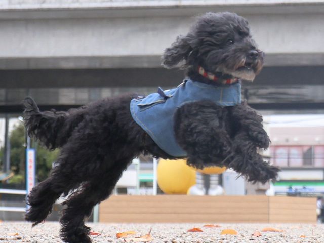 プロの技術でご満足いただけるように心を込めて撮影いたします