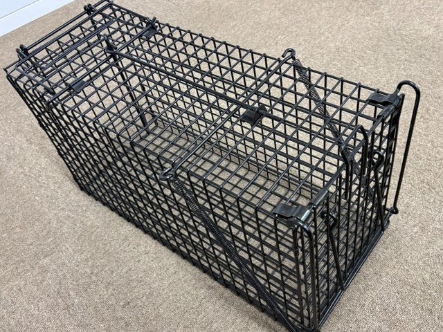 害獣駆除（ハクビシン、アライグマ、イタチ等）施工からアフターフォローまで丁寧に！