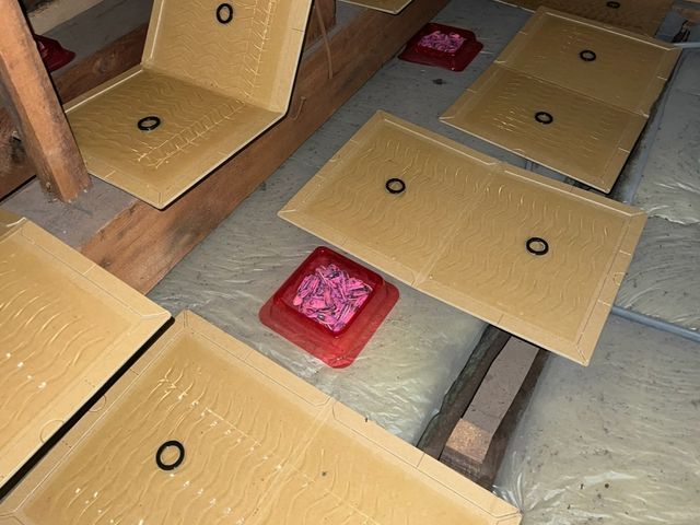 【現地調査見積無料】即日ご対応可能！長期保証完備！完全駆除をお約束します！