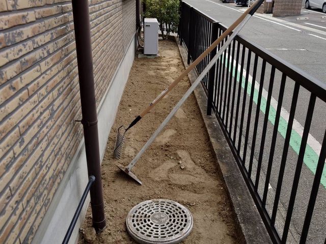 手作業、草むしり