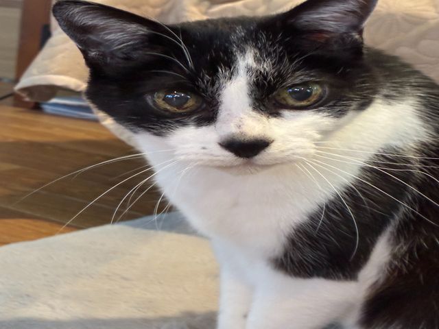 ペットショップ勤務経験を活かした店長が対応！小動物・熱帯魚も対応いたします