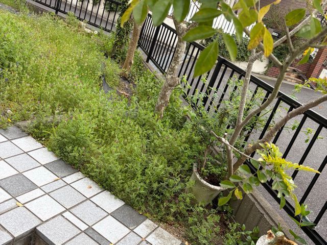 追加料金無し！大手不動産会社も信頼する丁寧・格安の手作業による草むしり