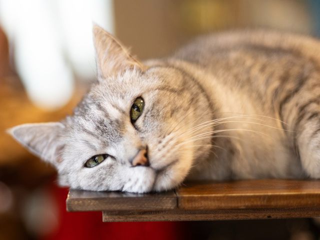 経験25年◎ご要望をしっかりお伺いします。