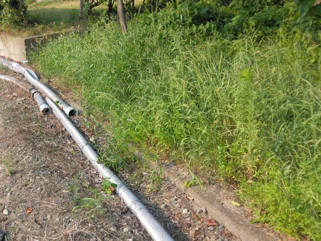 旅行などの時のお庭の植物への水やりはおまかせください。