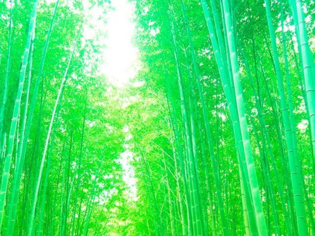 式・イベント全般デジタルカメラ撮影