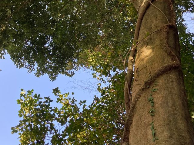 丁寧な作業を心掛けます。