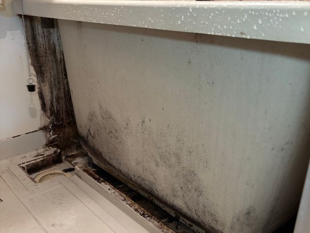 浴室掃除　クリーニング