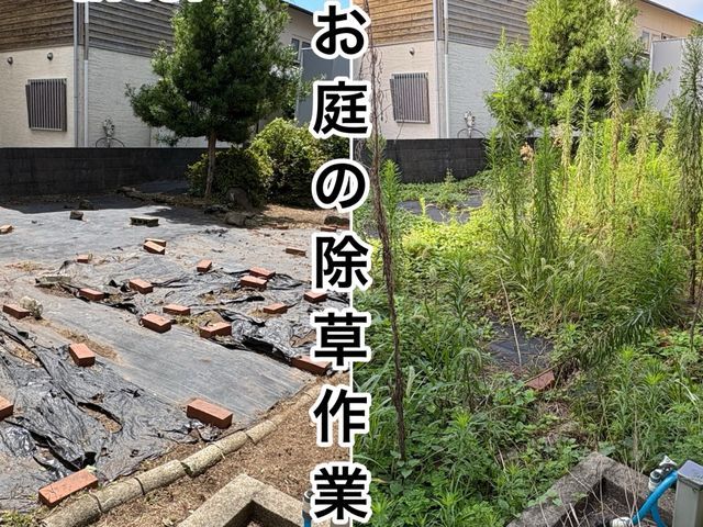毎年実績200件以上！お庭、空き家、空き地の草刈りは「熊本の便利屋さんスケット」