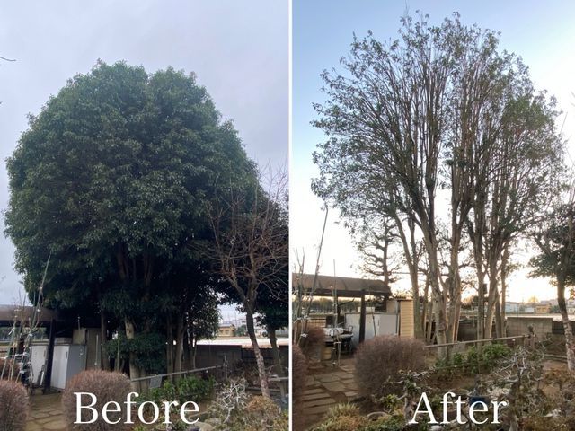 【4月中お値引き有り】技術に自信有り4/15㈬18㈯19㈰21㈫25㈯←対象日