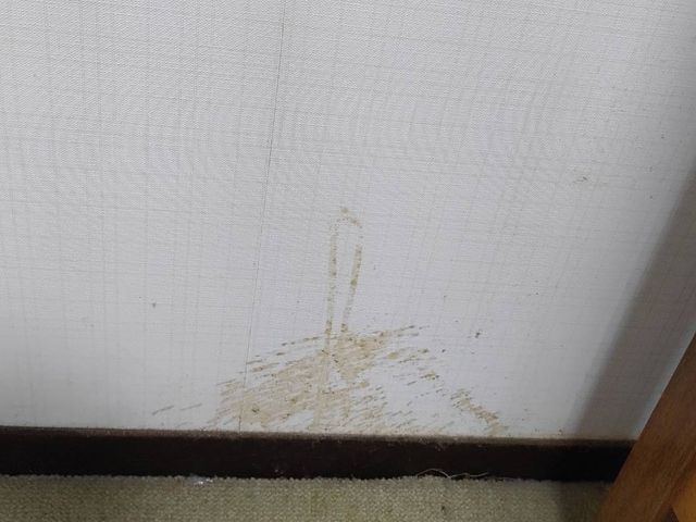◆年中無休・土日祝もご予約大歓迎◎チタンコートで、クリーニングではなく壁紙再生！サービスの画像