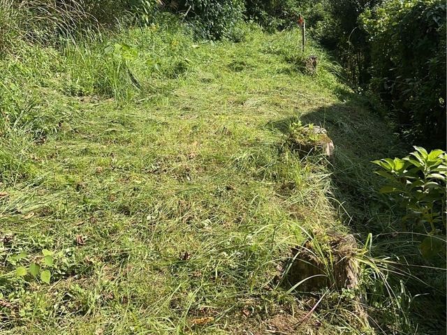 【丁寧・迅速】お庭の草刈り・芝刈り、ゴミ回収まで丸ごとお任せください！