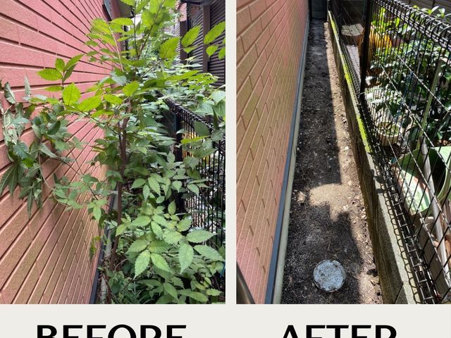 【11月15日まで！秋のキャンペーン！】秋口の草むしり&落ち葉清掃しませんか？