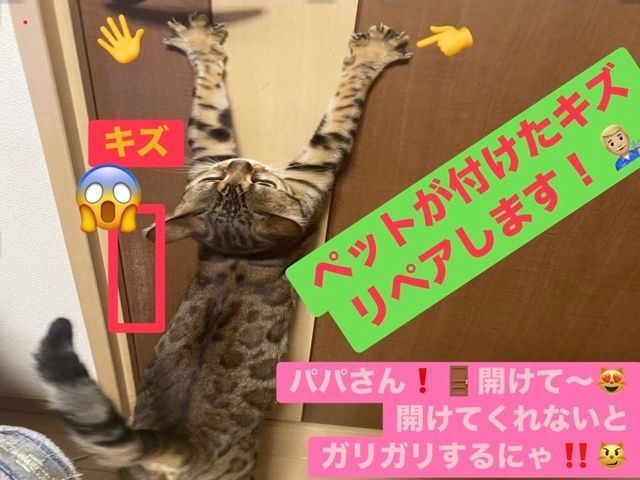 【建築のプロが直接対応】◎構造と材質を知り尽くした店長による補修サービス◎