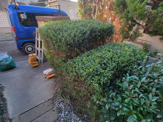 【岡山市東区発！】庭ストレス解消剪定サービス♪