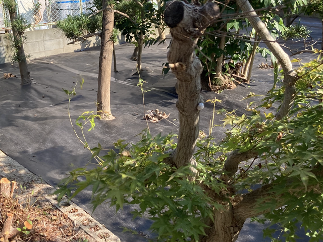 ◎予約から施工まで100%自社対応◎女性スタッフ活躍中♬◎損害保険加入店