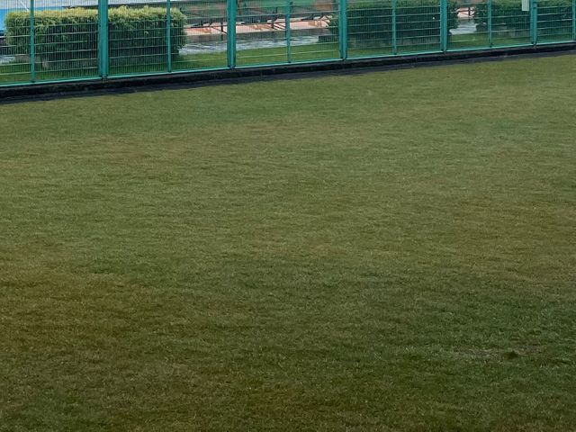 外回り簡易整備（草刈り・清掃・軽補修）