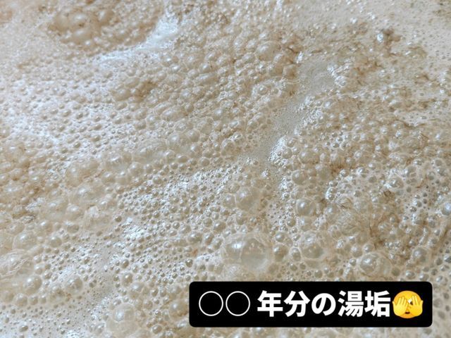 【風呂釜洗浄】プロが選ぶプロの洗浄技術！菌を除去して安心リラックスバスタイム！