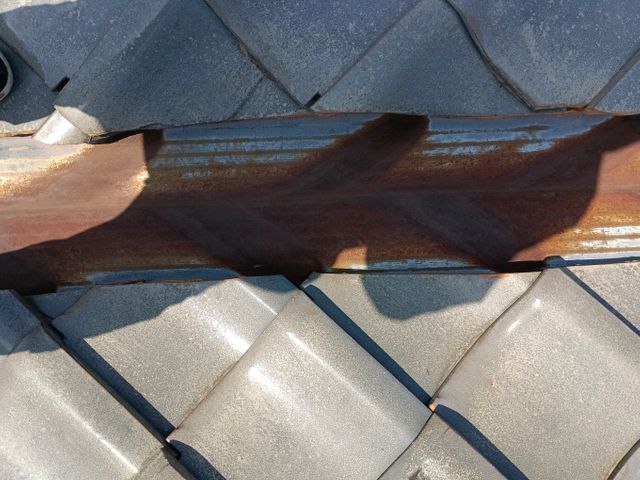 雨樋清掃します。