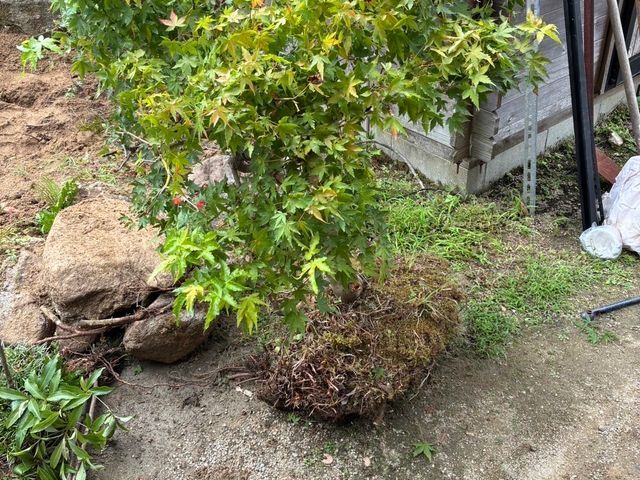 低木から特殊伐採まで作業可能です！！安く迅速に丁寧に！