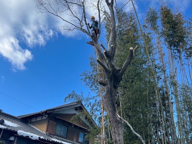 まずは「このサービスについて質問する」から写真ください。事前見積もりからさせてく