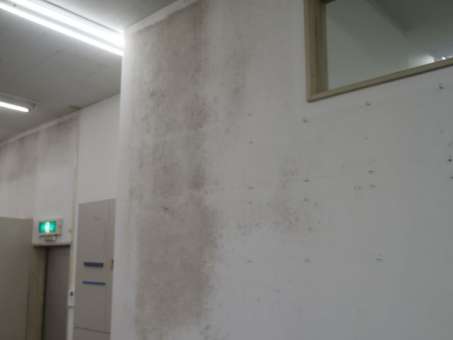 クロスクリーニング(紙.布クロスは基本NGとなります)