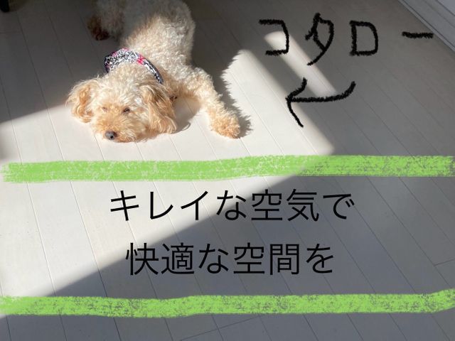 壁掛けエアコンクリーニング専門！電気工事士・大手家電メーカー経験者が対応！