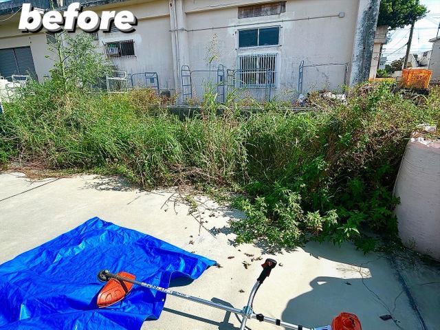 庭木の剪定・伐採・お庭のお手入れ／くらしの島サポ