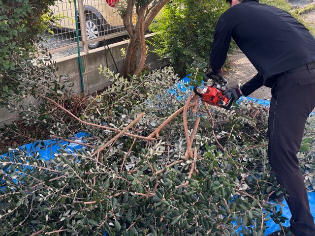 伸びきった植え込みや生垣をスッキリ綺麗にいたします！◎お見積もり・ご相談無料◎