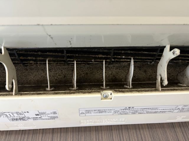 ★多忙なママさん応援フェア★10月お申し込みでchoiceセットご用意しました★