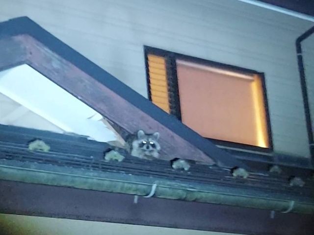 大手実績あり！迅速・丁寧な対応で安心を提供する専門家☆