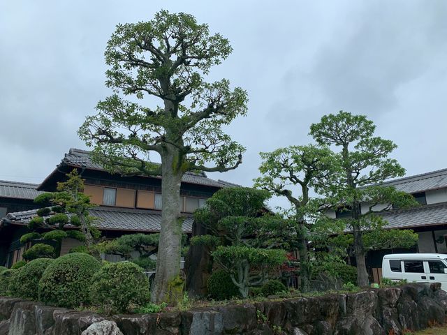 出店記念キャンペーンで地域最安値に挑戦中！ご近所感覚で頼める庭師を目指してます！