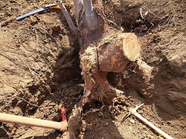 ◆春日井発◆営業時間外も対応いたします