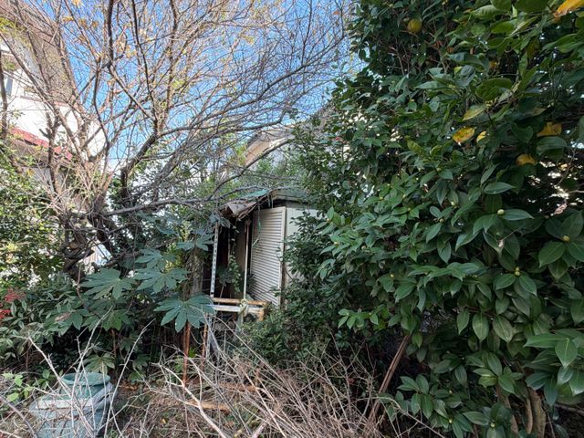 困った庭木の悩みに寄り添う丁寧な伐採伐根で生活の不安を安心に変えるサービスです。