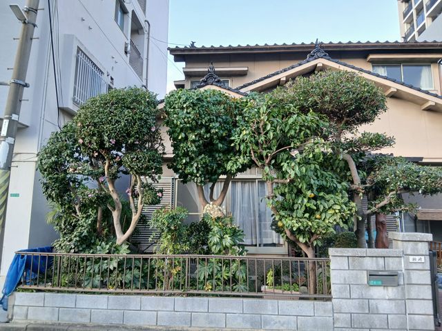 剪定のプロと便利屋の二刀流でお庭のお悩み一括解決