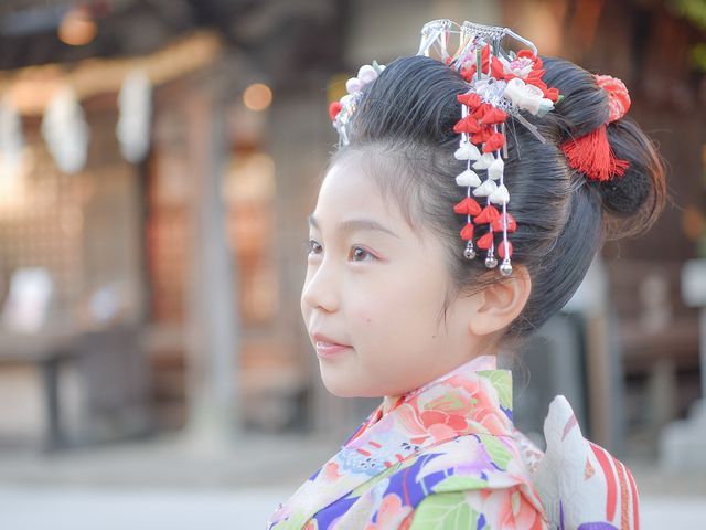 ◆JBP協会認定 ブロンズ会員｜150枚以上｜中山寺登録済　湊川生田西宮神社