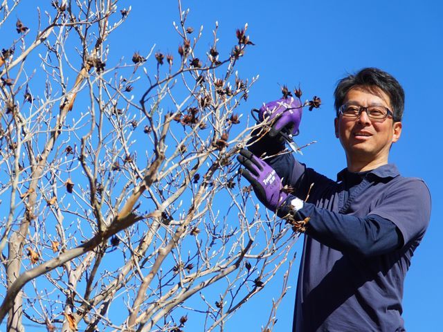新規出店◎理想の仕上がりで喜ばれるお手入れ・庭造り【立合い不要・留守中作業可】