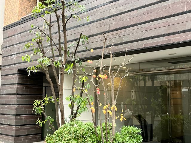 1本からお受けします！クレカ対応。写真にてお見積りいたします。お困りご相談下さい