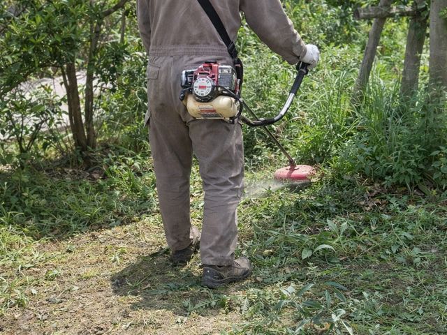 【空き家・不在宅の見守り点検付き】草むしり（草刈り機）｜写真報告