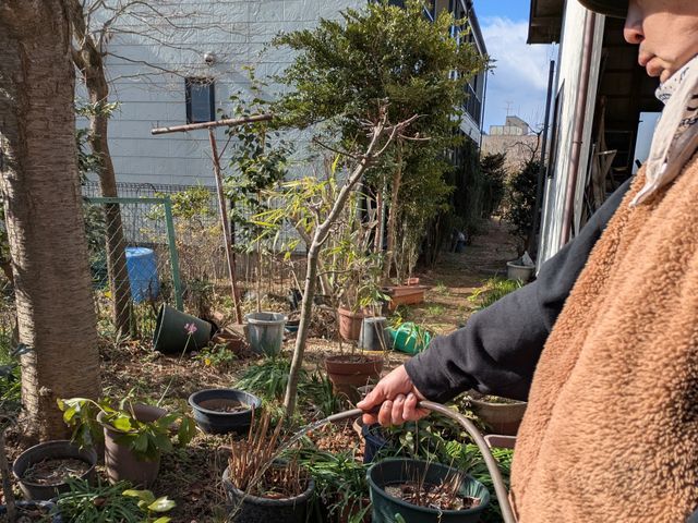 水揚げは意外と奥が深いです！