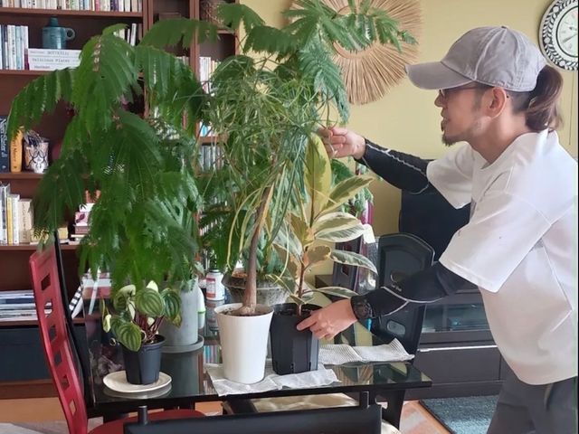 植え替えでお困りなら是非ご相談下さい！鉢で管理される物は定期的に植え替えが必須！