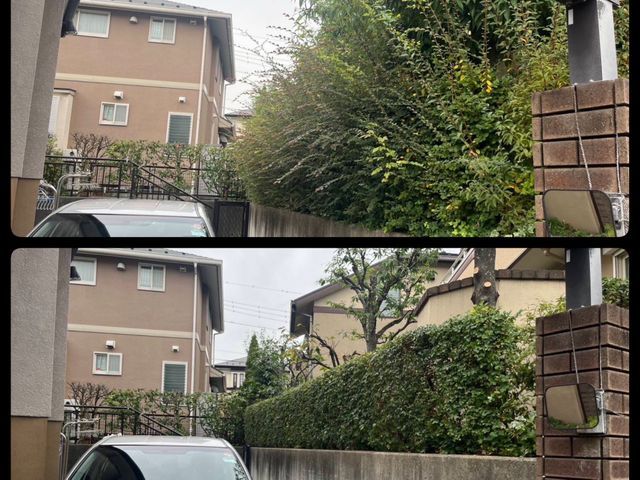 新年を綺麗なお庭で迎えませんか？お庭のことなら庭　翔黒にお任せください。