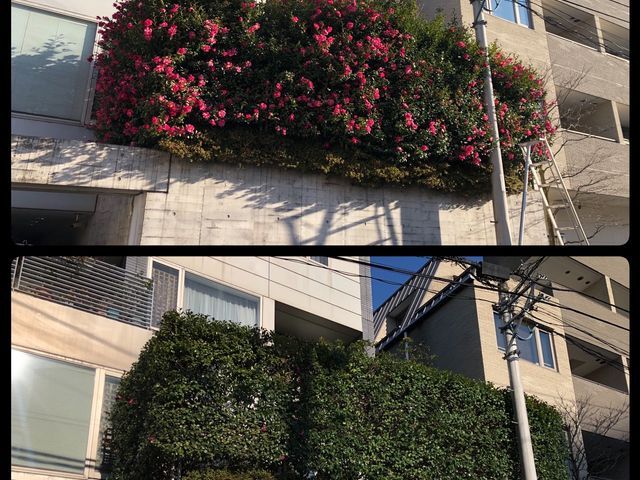 【即日対応・写真見積り可】お庭のことなら是非、庭　翔黒にお任せください！