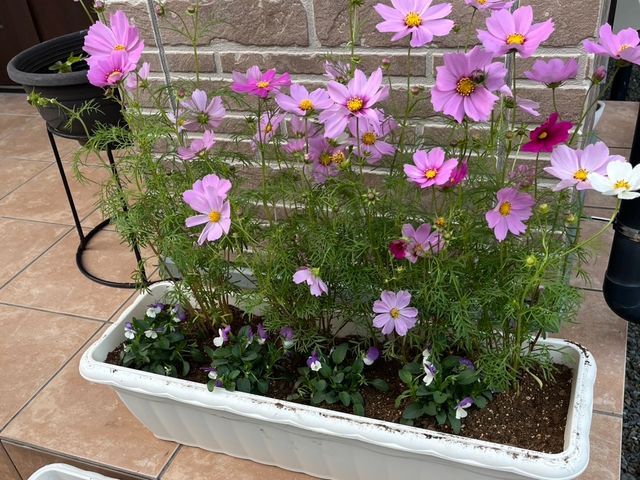 プロの技術でご満足いただけるように心を込めて作業いたします