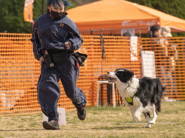 【リングドッグからお留守番まで！】万全の研修体制◎損害保険加入済みで安心◎
