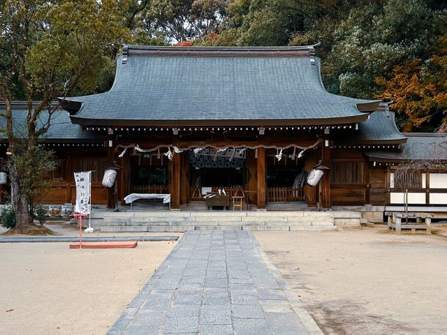 大阪で七五三の出張撮影！！最高の思い出になるお手伝いをさせていただきます。