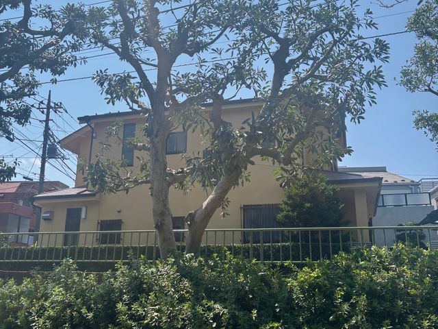 自社スタッフによる安心の植栽管理で、お庭をすっきり美しく変身