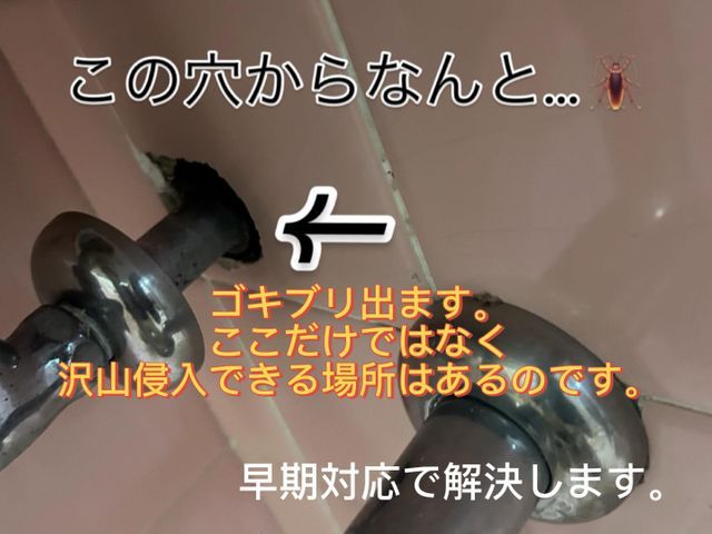 【大阪・兵庫・夜中も早急駆けつけ】対策しておかないと…この時期から増えてきます。