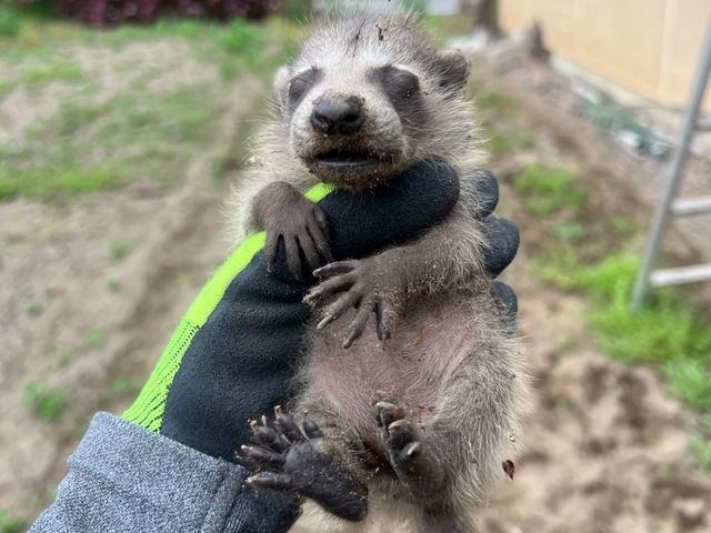 【明朗会計】即日対応可能！住宅のプロが対応いたします！是非1度ご相談下さい！