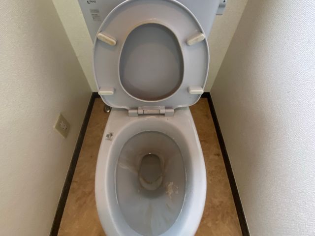 レビュー投稿してくれる方限定★通常価格12000円→10000円でのご案内！