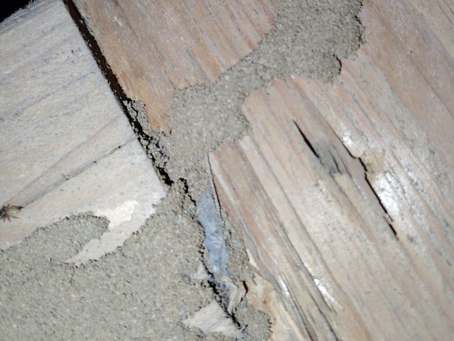 赤ちゃんやペットにも安心な薬剤使用！迅速・丁寧な対応でお客様満足度重視のサービス